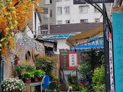 -葑门横街