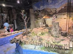 -正佳雨林生态植物园