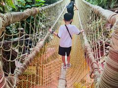 -正佳雨林生态植物园