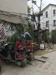 -Hair Solo