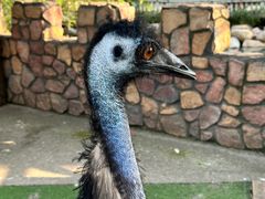 -J Create城市露营咖啡·简餐·宠物(上海动物园店)