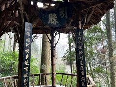 -青城山