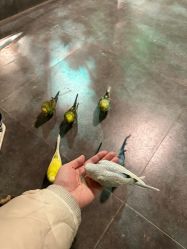 -酷嗒动物文化乐园(cutezoo西溪乐天城店)