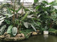 -汤山翠谷生态餐厅