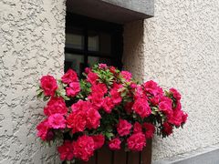 -徐家汇源景区-衡山坊