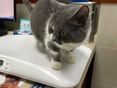 -艾贝尔宠物诊疗