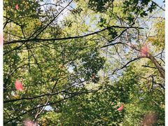 -云峰山自然风景区