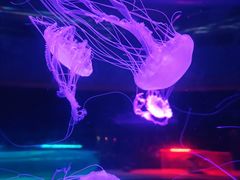 -常州海昌海洋探索馆