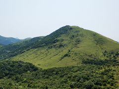 -大姆山草场