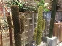 -悦海·家宴·冰花皮皮虾大锅贴(宝龙店)