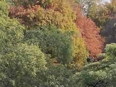 -晓港公园