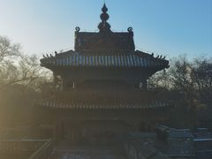 -北陵公园