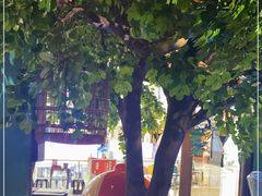 -佬麻雀·剁椒鱼头(京基KK One店)