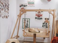 -楼上猫咖(罗湖店)