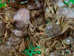 -三旗百汇商品城