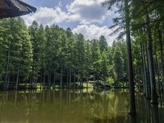-波尔登森林公园