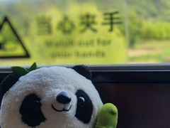-十九峰景区