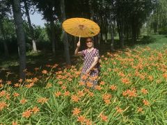 -东郊湿地公园