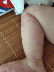 -鲁比猴非洲探索部落(喜盈门店)