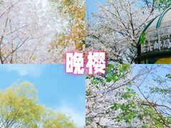 -南山植物园