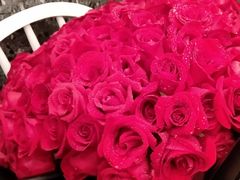 -海底捞火锅(塘厦天虹店)