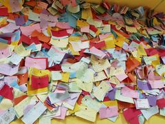 -志龙皇冠吃货椰子铺