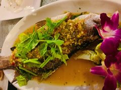 -Onion restaurant