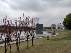 -美兰湖景区