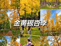 -汉长安城未央宫国家考古遗址公园