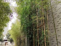 -龙潭水乡