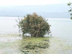-西昌邛海湿地