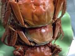 iphone_upload_pic-覃记海鲜美食餐厅