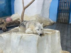 -南京海底世界