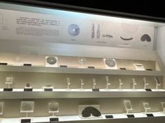 -余姚博物馆