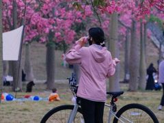-风云岭森林公园