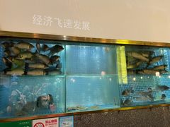 -顺峰顺水顺德菜(龙华店)