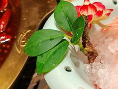 -堂客老火锅(欣阳广场总店)