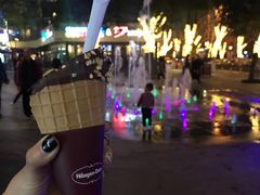 -哈根达斯(武汉天地店)