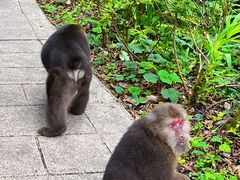 -西岭雪山大飞水景区