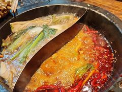 -蜀大侠火锅(总府路店)