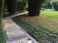 -堤角公园