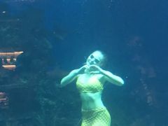 -海棠湾洲际-涛·海底餐厅·美人鱼·自助餐·海底隧道