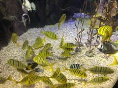 -太平洋海底世界