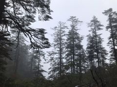 -瓦屋山景区