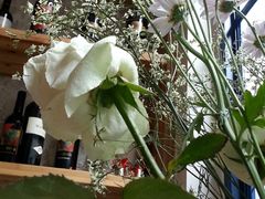 -E·cafe(新梅广场店)