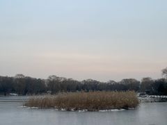 -奈雪的茶(石家庄万象城店)