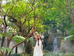 -Chom Cafe and Restaurant