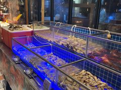 -松咖啡自助餐厅·松北香格里拉