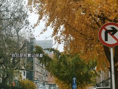 -麻路成都火锅(柏威年店)