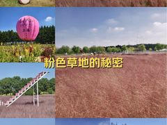 -嘉北郊野公园